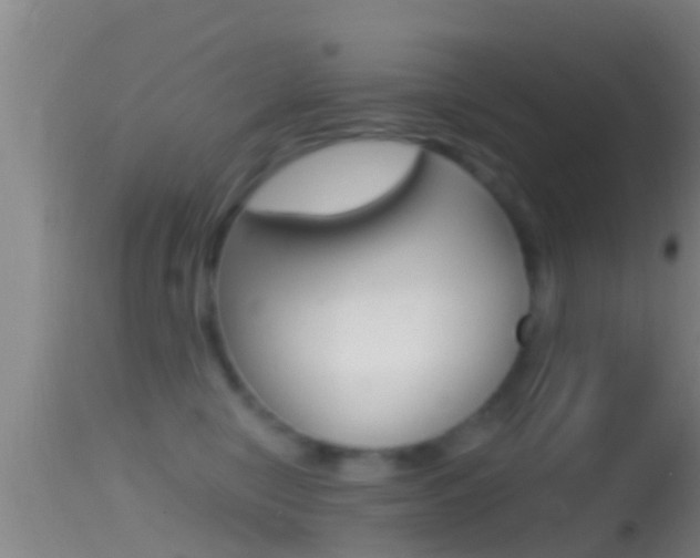X0000114390470200910161036