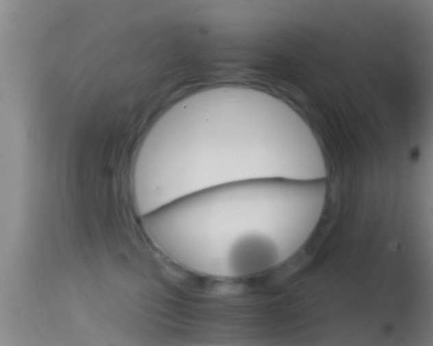 X0000114390471200910161036
