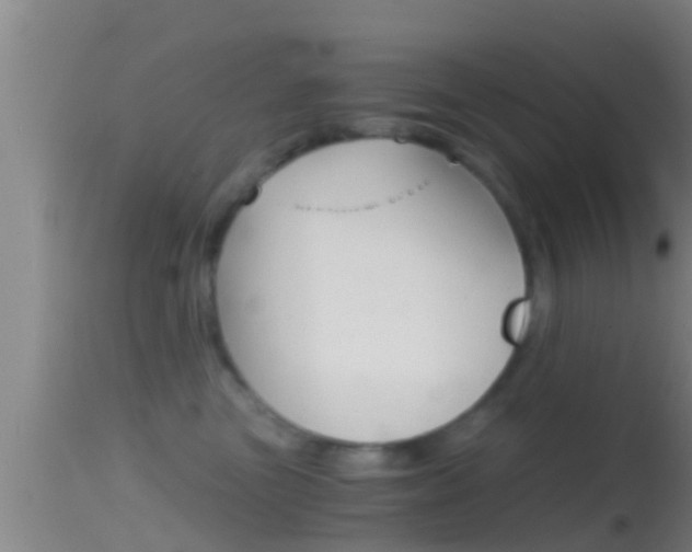 X0000114390473200910161036