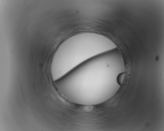 X0000114390474200910161036