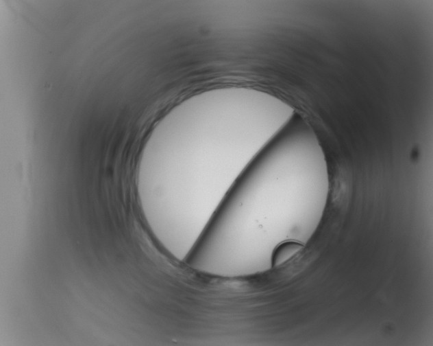 X0000114390476200910161036