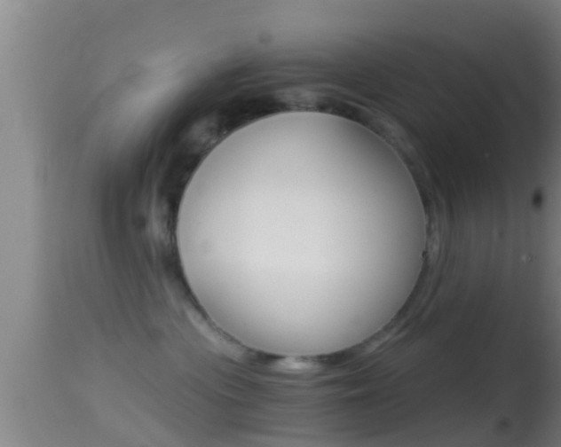 X0000114390477200910161036