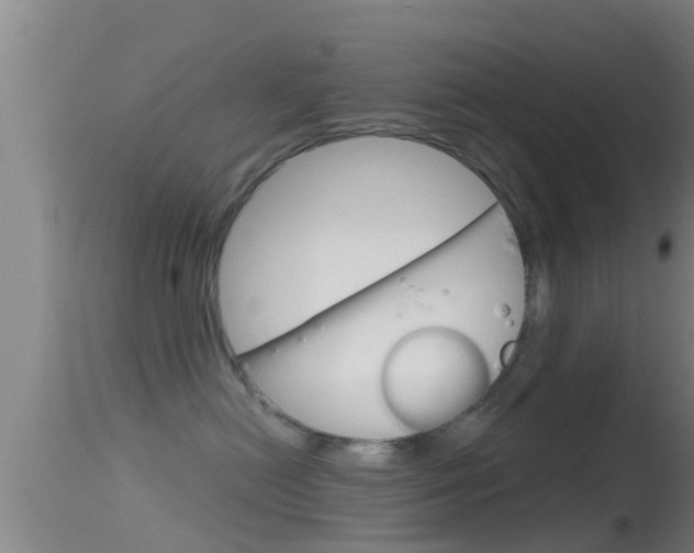 X0000114390478200910161036