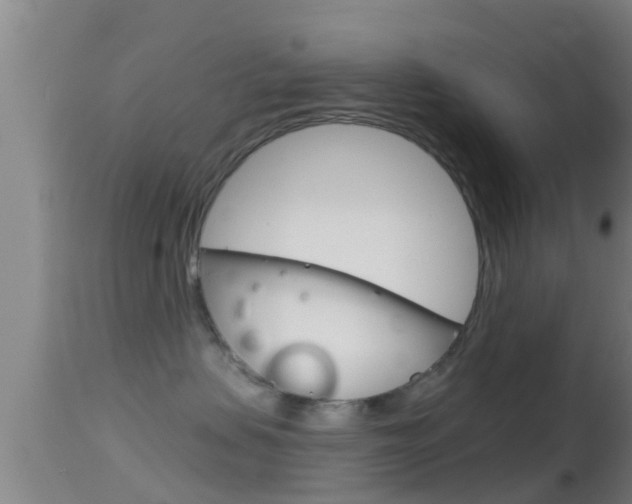 X0000114390479200910161036