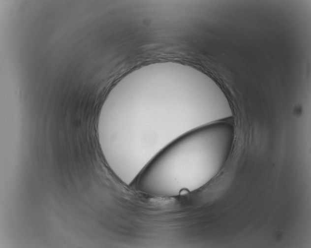 X0000114390480200910161036
