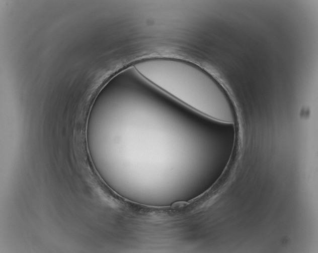 X0000114390481200910161035