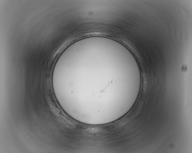 X0000114390482200910161035