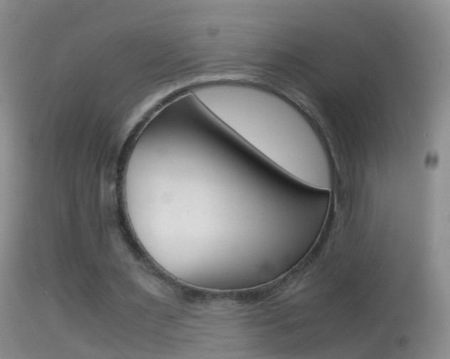 X0000114390483200910161035