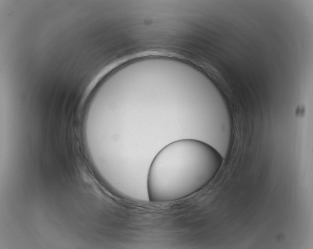 X0000114390484200910161035