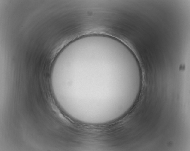 X0000114390485200910161035