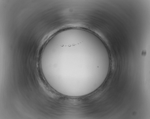 X0000114390486200910161035
