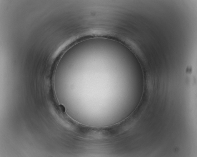 X0000114390488200910161035