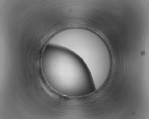 X0000114390489200910161035