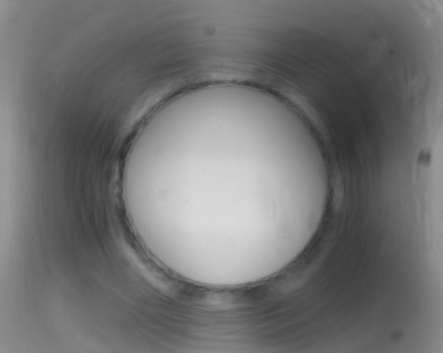 X0000114390490200910161035