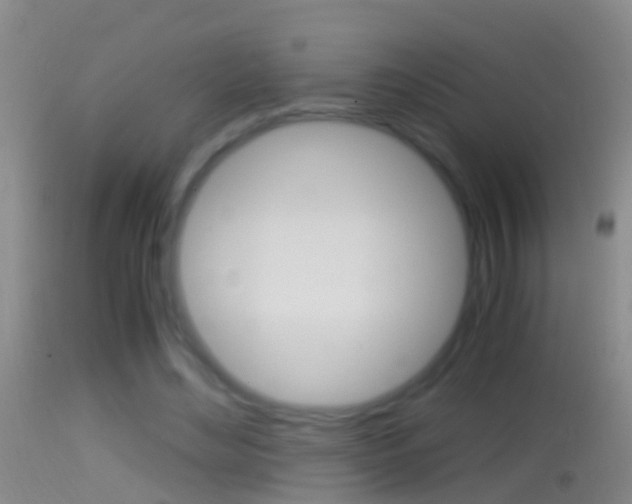 X0000114390492200910161035