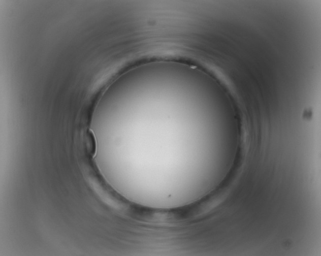 X0000114390493200910161035