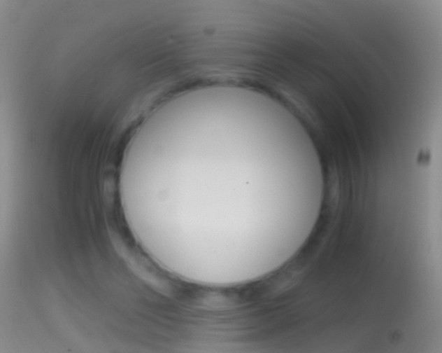 X0000114390494200910161035