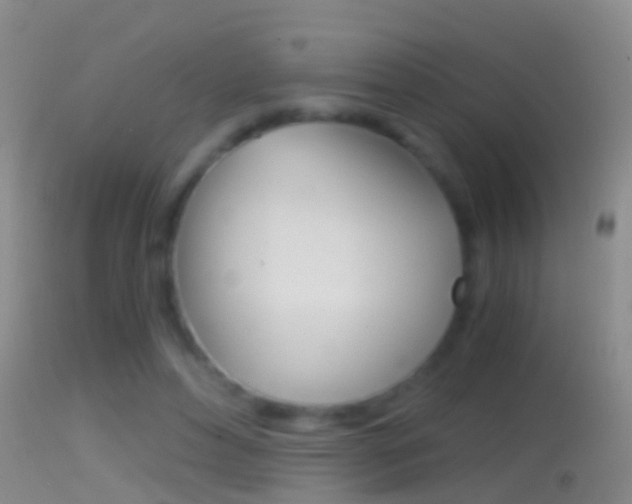X0000114390496200910161035
