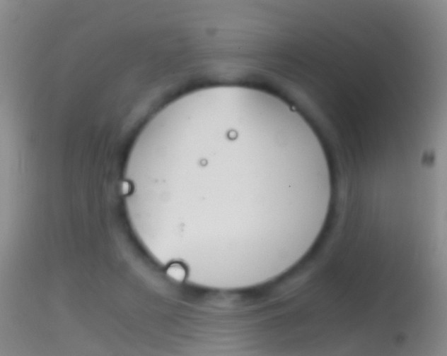 X0000114390497200910161035