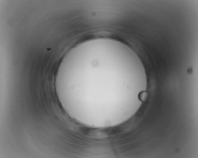 X0000114390498200910161035