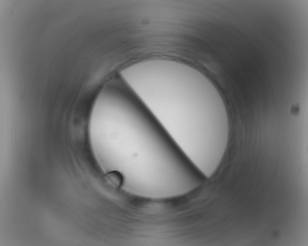 X0000114390499200910161035