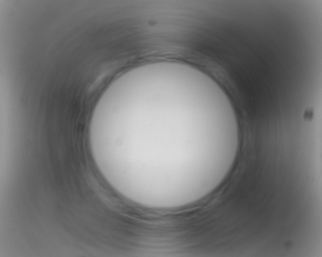 X0000114390501200910161035