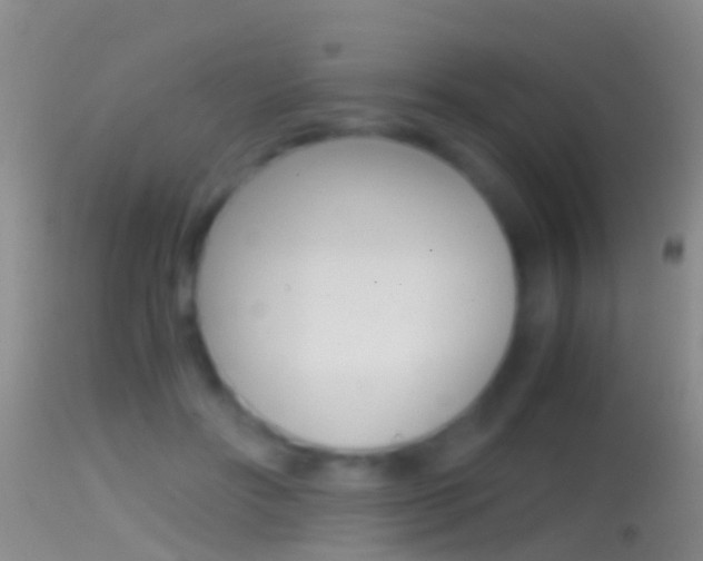 X0000114390502200910161035