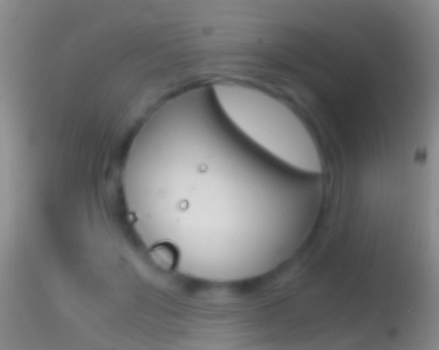 X0000114390503200910161035