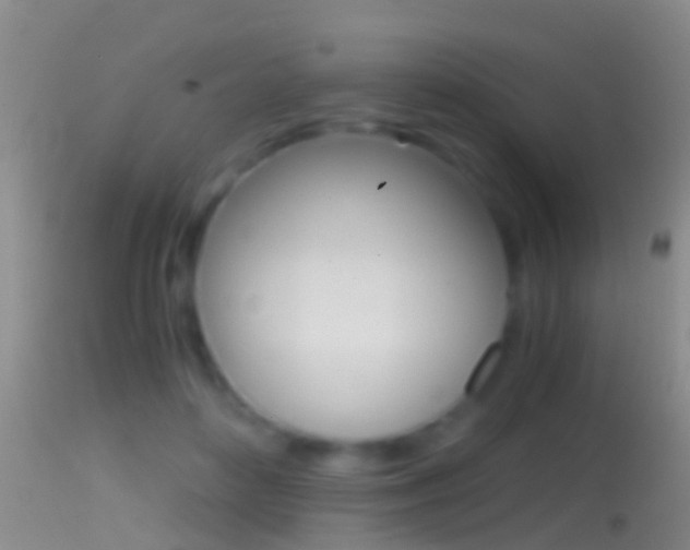 X0000114390504200910161035