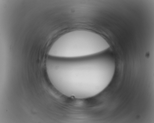X0000114390507200910161035