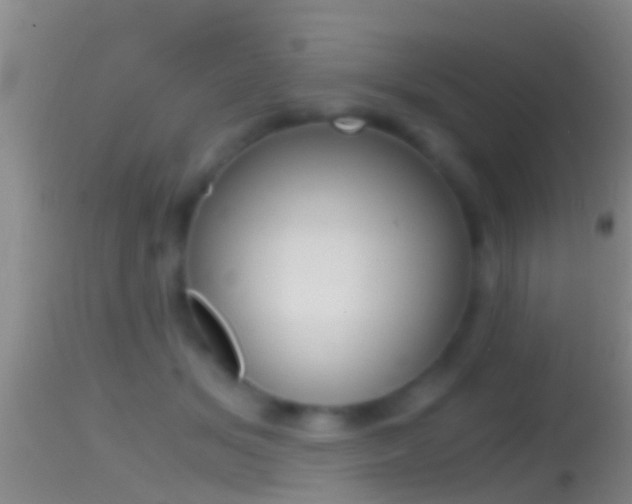 X0000114390509200910161035