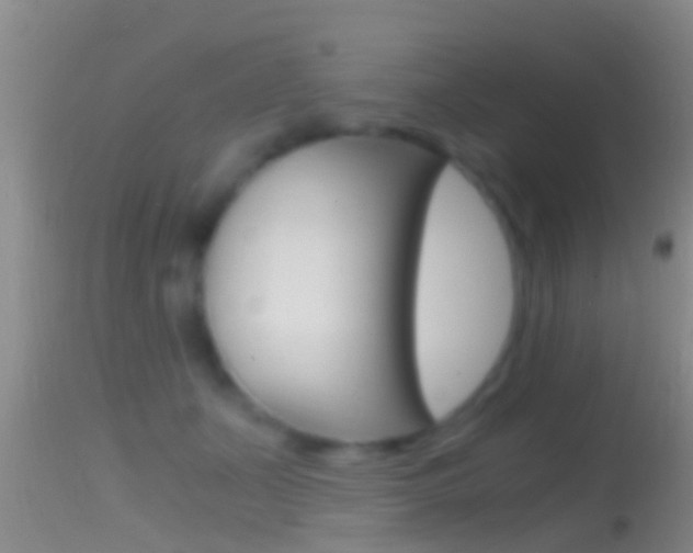 X0000114390511200910161035
