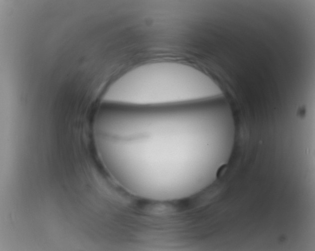 X0000114390512200910161035