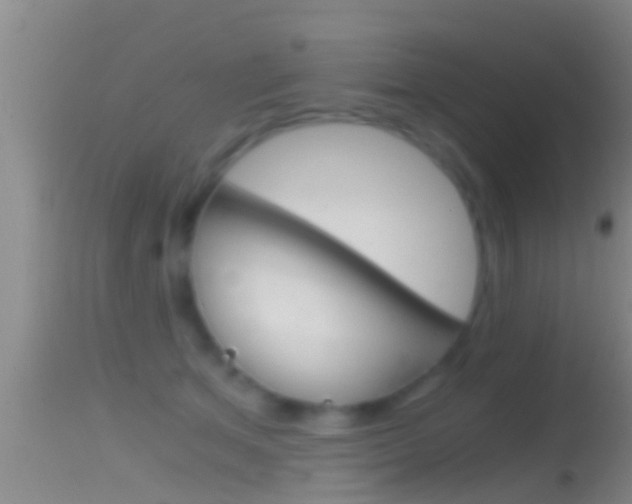 X0000114390513200910161035