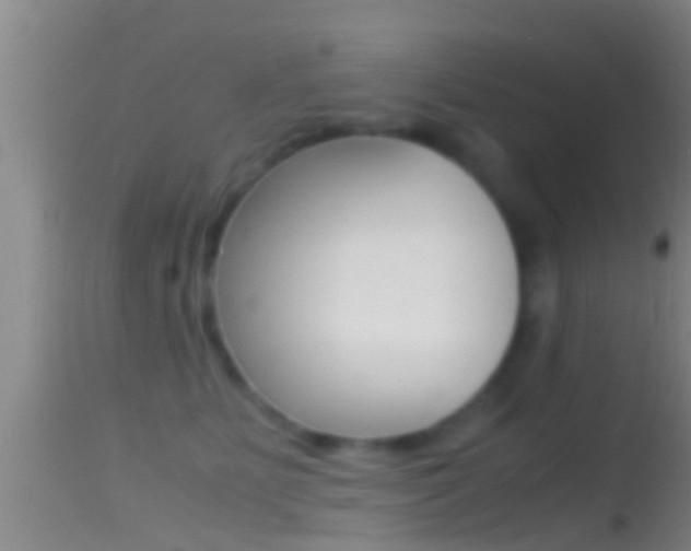 X0000114390515200910161035