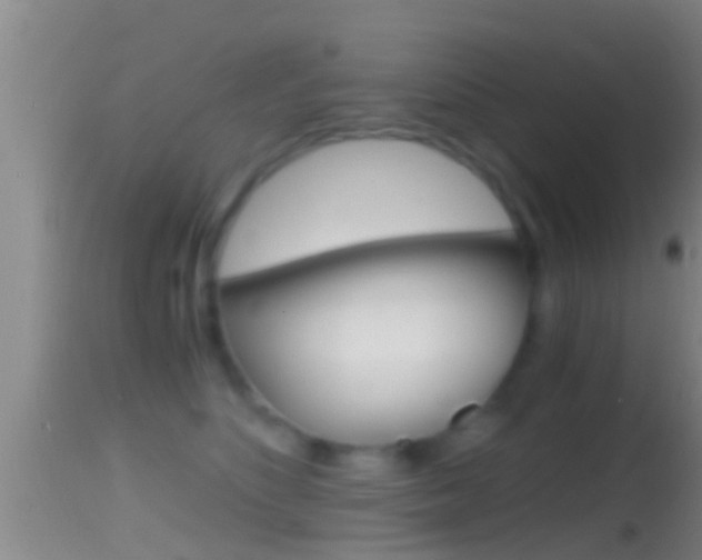 X0000114390516200910161035