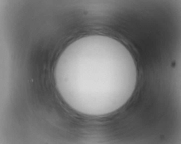 X0000114390517200910161035
