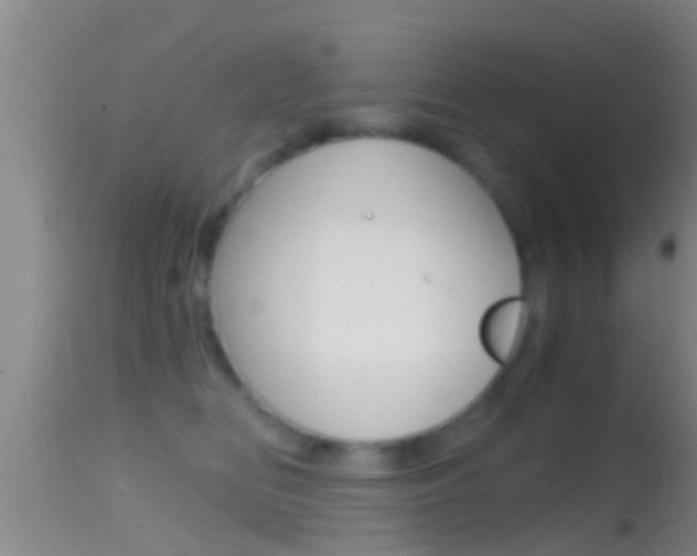 X0000114390518200910161035