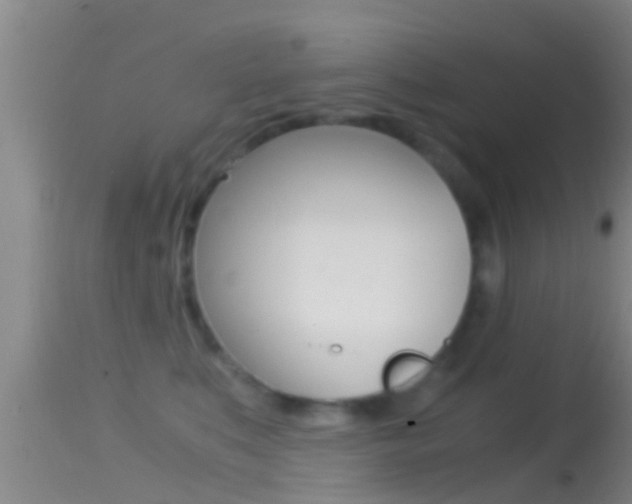 X0000114390519200910161035