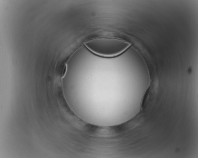 X0000114390521200910161035