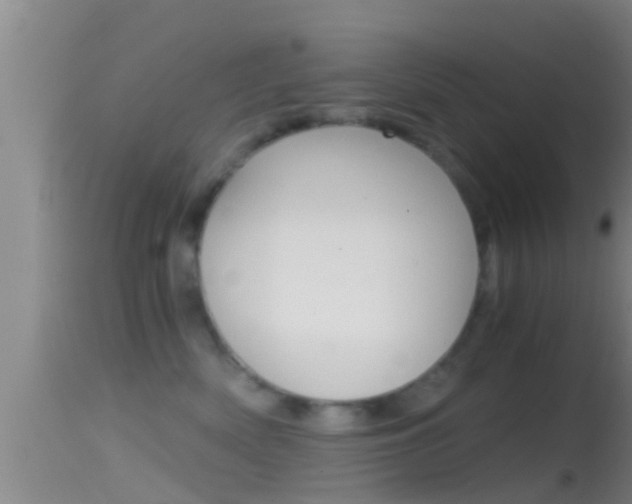 X0000114390522200910161035