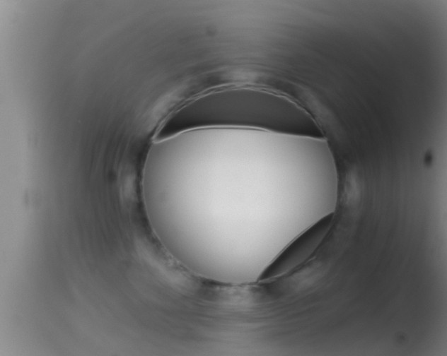 X0000114390524200910161035