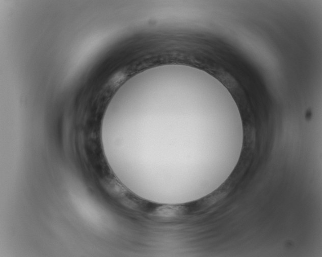 X0000114390526200910161035