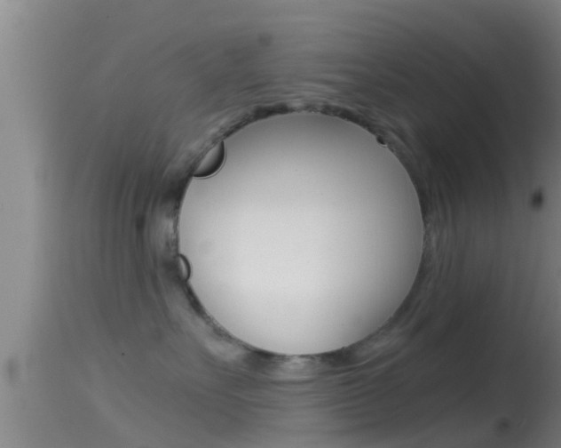 X0000114390527200910161035