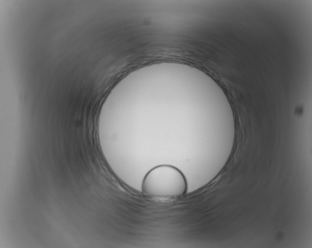 X0000114390528200910161035