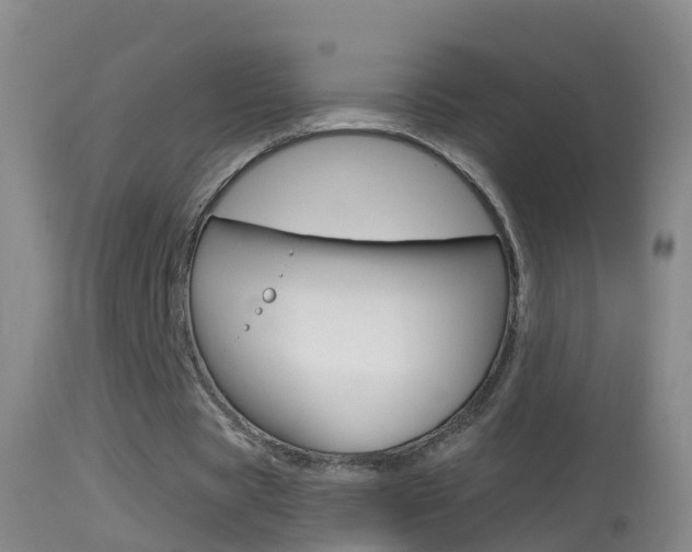 X0000114390529200910161034