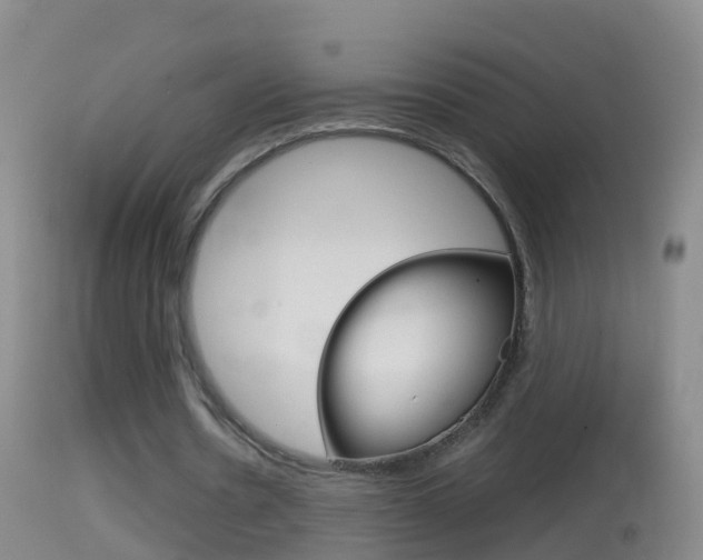 X0000114390530200910161034