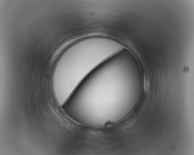 X0000114390531200910161034