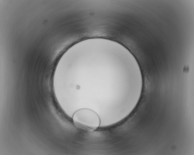 X0000114390534200910161034