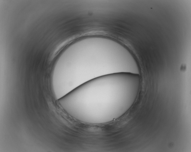 X0000114390535200910161034